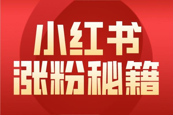陌生社交APP推出时间？